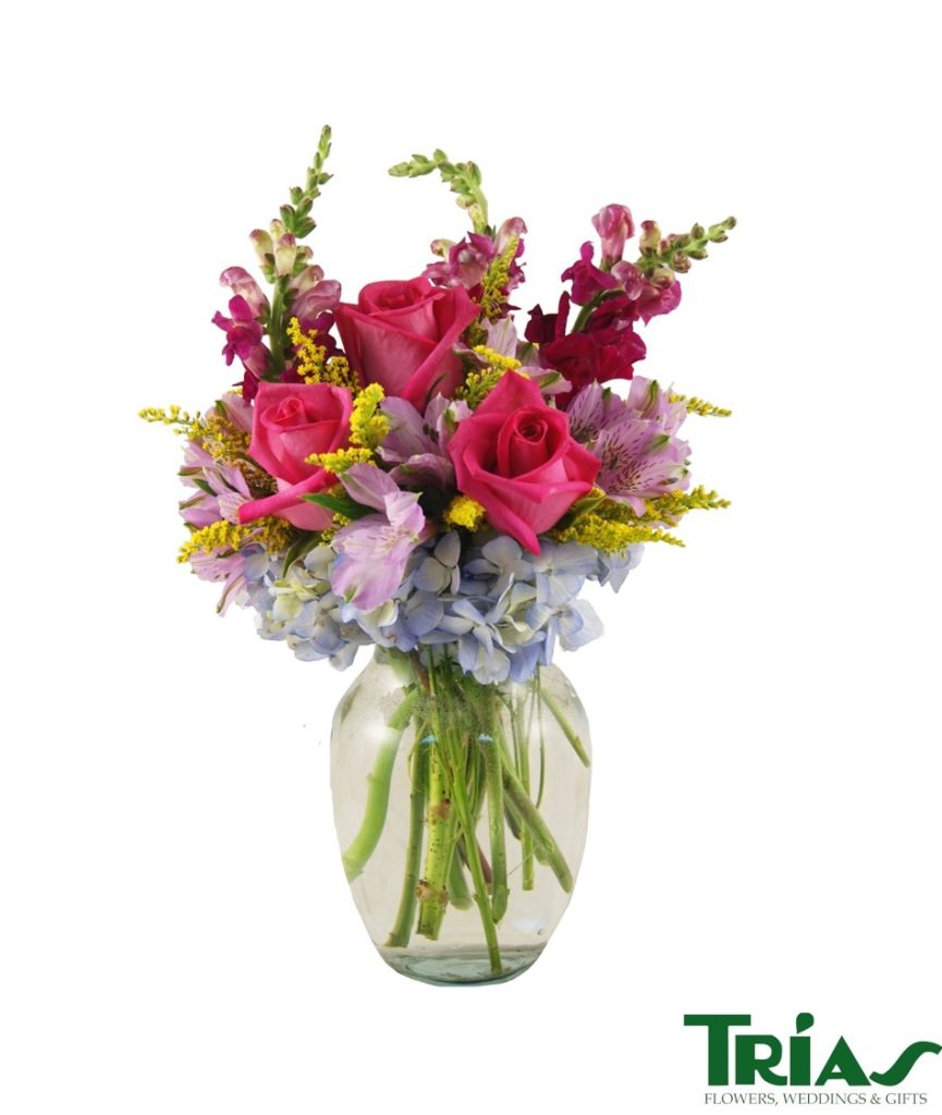 Celebrate Everyone You Love Trias Flowers