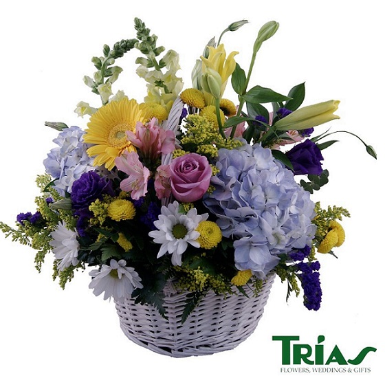 Designing Daisies for April Birthdays Trias Flowers