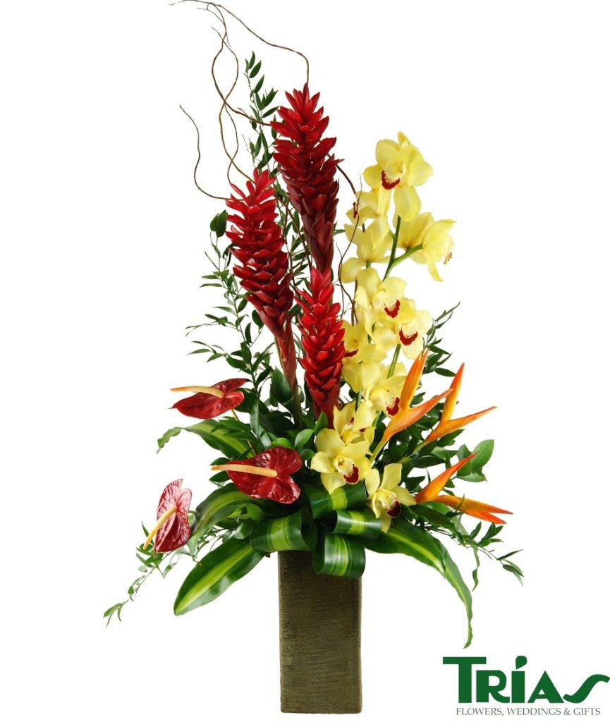 Exotic Spring Flowers Trias Flowers