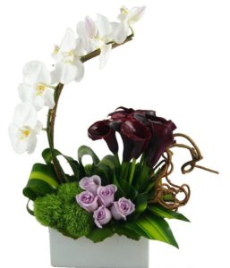 white orchids with purple calla lilies in vase