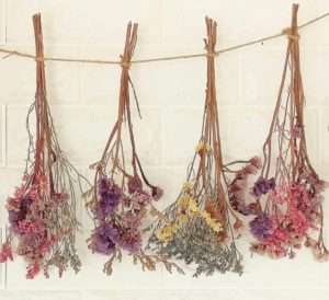 Dried Flowers Hanging Upside Down