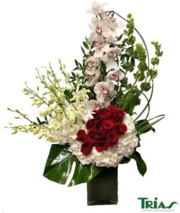 An elegant and lavish arrangement of white cymbidium orchids, red roses, white dendrobium orchids, white hydrangeas, bells of ireland, monstera leaves, masangena leaves and steel grass in a glass square vase.