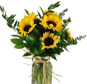 A classic display of sunflowers, italian ruscus, leather leaves and israeli cuscus in a mason jar