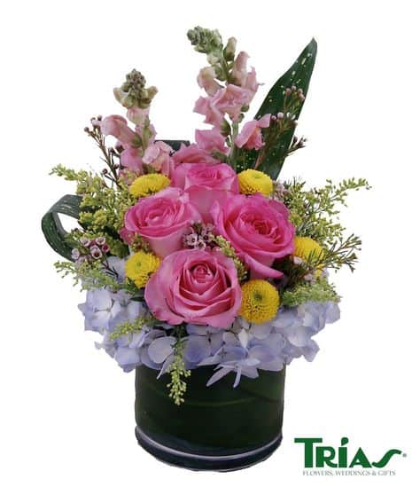Capture the essence of pastel beauty with this lovely arrangement of Pink Roses, Hydrangeas and Snapdragon blossoms in a compact design with a 5" cylinder vase. A highly popular choice for any Spring occasion! 