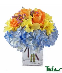 This lovely, colorful, fresh, and unique combination features blue hydrangeas, orange roses and yellow alstromerias arranged in our signature Trias glass vase!