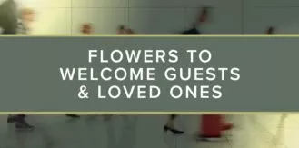 FlowersAtTheAirport-blog